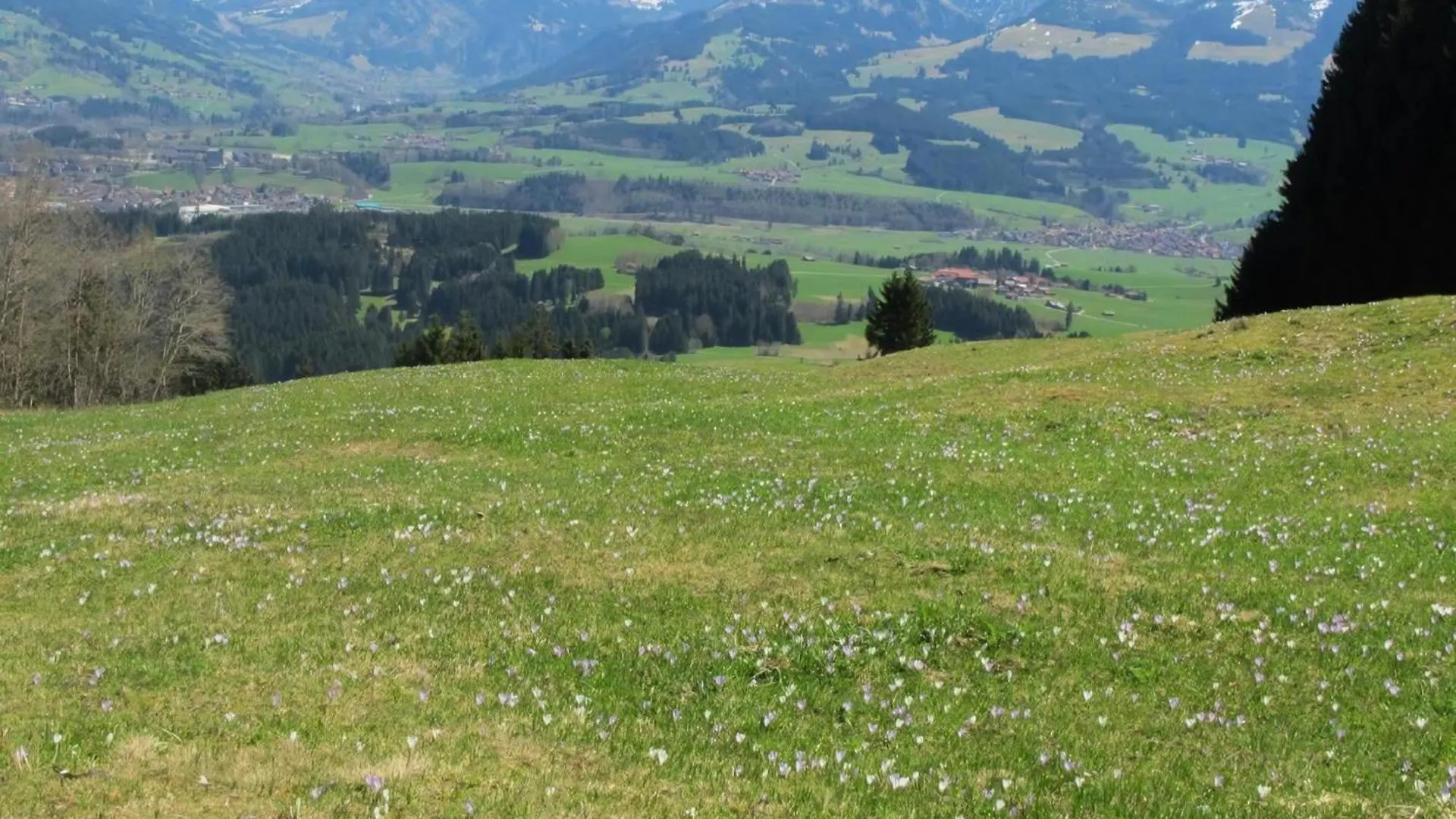 Ferienwohnung Mit Hallenbad Berg  0*, Berg (Fischen) Alemania