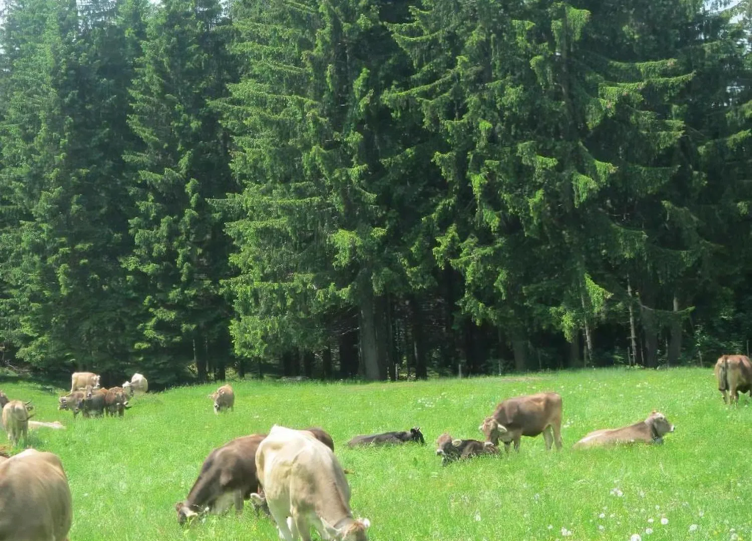 Ferienwohnung Mit Hallenbad Berg  Alemania
